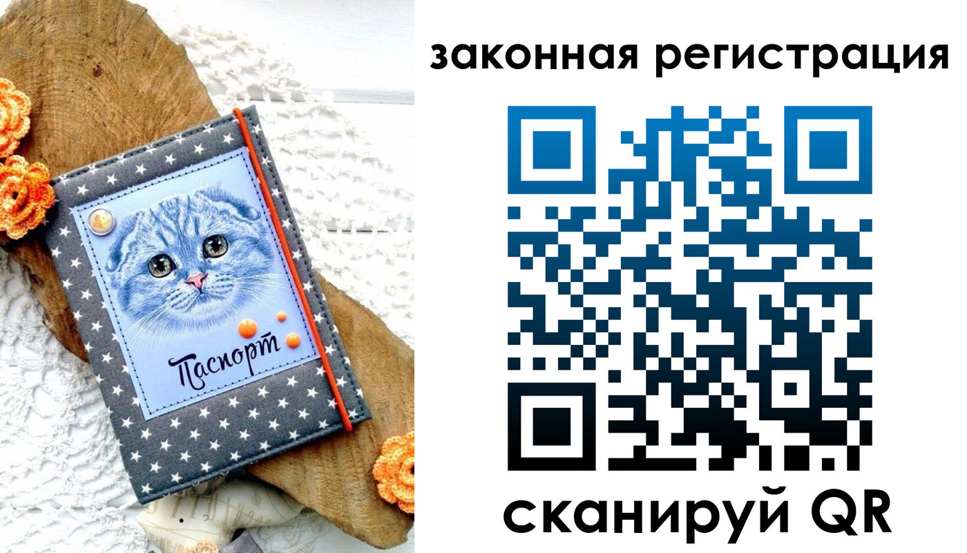 регистрация в Новороссийске
